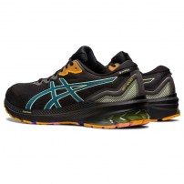 Кросівки для бігу чоловічі Asics GT-1000 11 GTX Black/Ink Teal